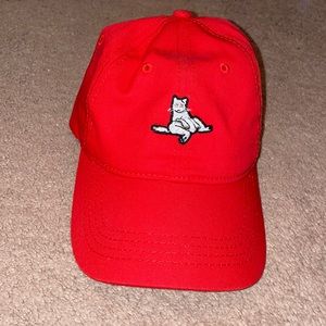 American eagle cat hat